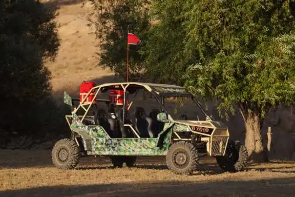 باگی چهار نفره