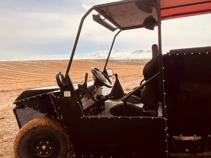 باگی دوازده نفره