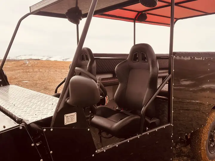 باگی دوازده نفره