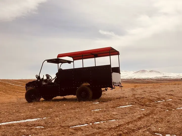 باگی دوازده نفره