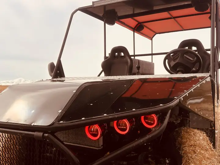 باگی دوازده نفره