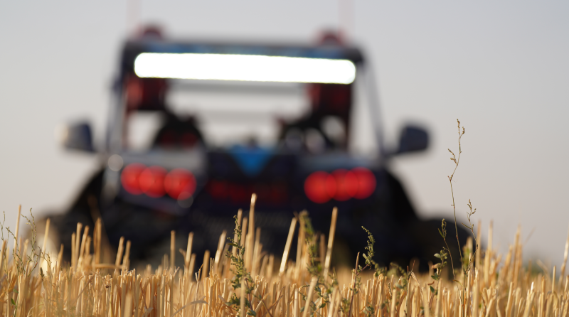 باگی دو نفره 3