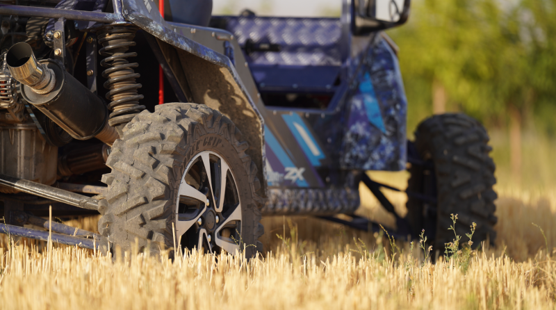 باگی دو نفره 11