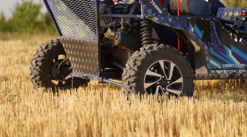 باگی دو نفره 12