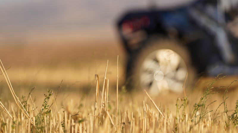 باگی دو نفره 9