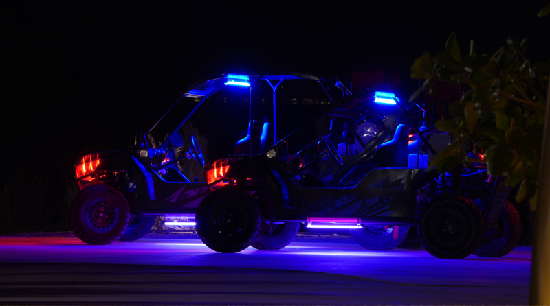 باگی دو نفره 2