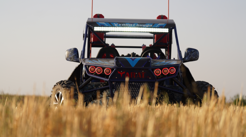 باگی دو نفره 6