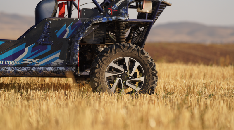 باگی دو نفره 10